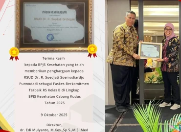 snapins-ai_DPpdowvk3P4 penghargaan bpjs